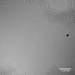 Monolayer Graphene Film TEM Image monolayer-graphene-film-tem-image