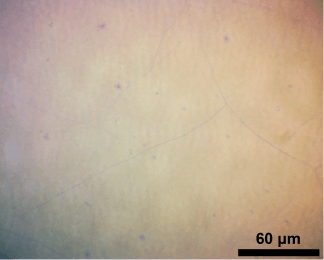 CVD Graphene On Si-SiO2 4inch - Image 2
